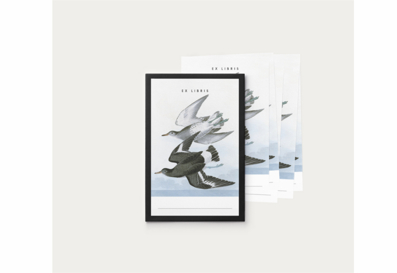 ex libris 1 noteka a.png