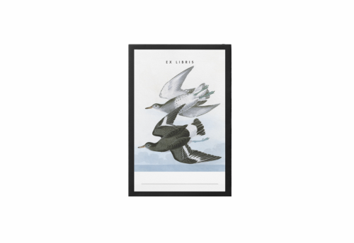 Suska & Kabsch Wklejki Ex Libris - Gołębie