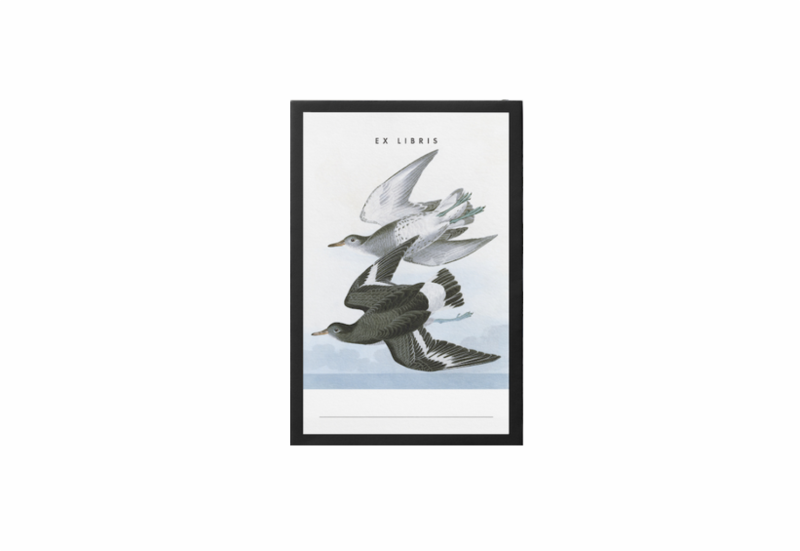 ex libris 1 noteka.png
