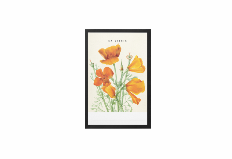 ex libris 3 noteka.png