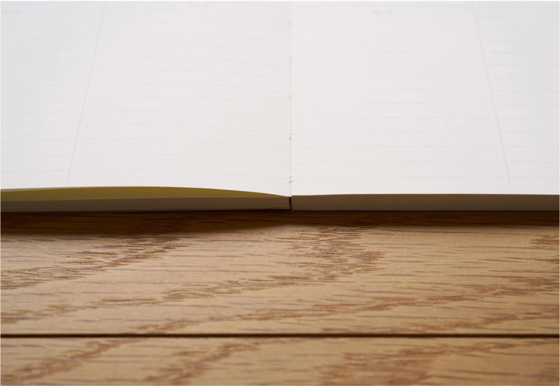 trolls paper essential daily diary 5.png