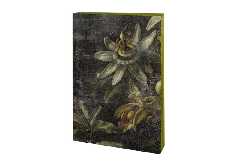noteka slow design canvas passiflora.jpg