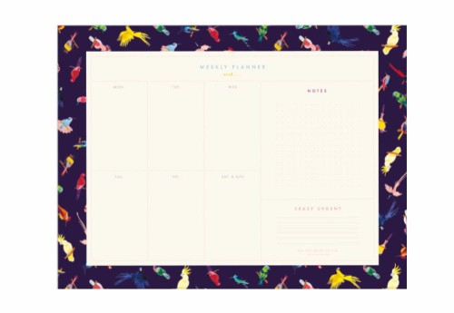 All The Ways To Say Planner Tygodniowy Neon Bird
