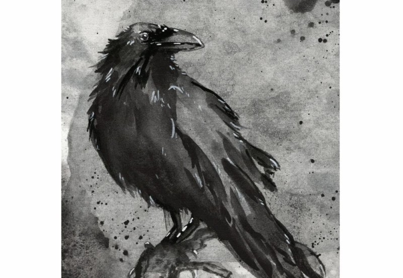 esterbrook estie raven 1.jpg