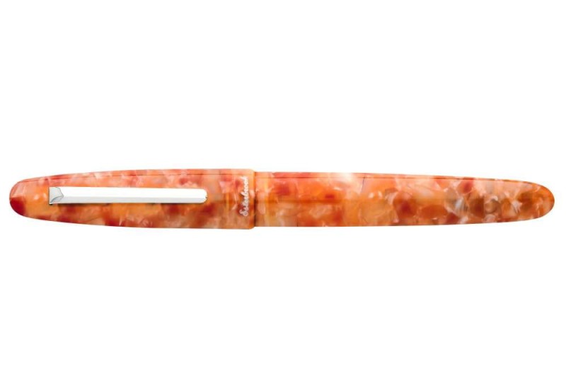 noteka esterbrook petrified forest palladium trim pióro wieczne 1.jpg