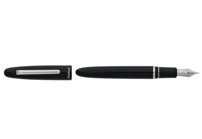 esterbrook ebony pallad 1.jpg