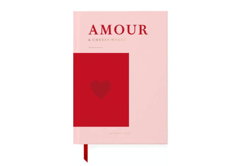 NOTEKA NOTATNIK A5 ATWTS AMOUR.jpg