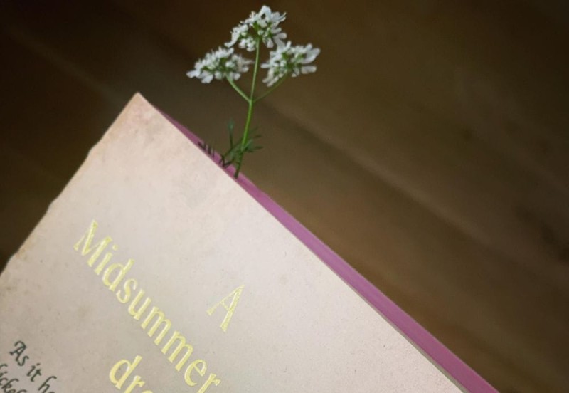 Slow Design Libri Muti Sen Nocy Letniej NOTEKA.jpg
