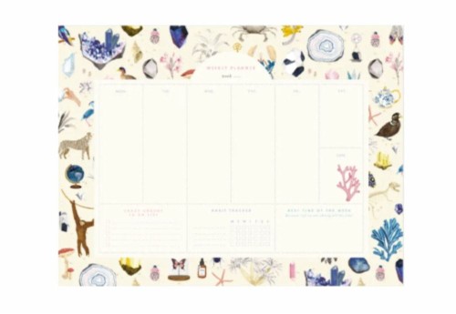 All The Ways To Say Planner Tygodniowy Curiosity