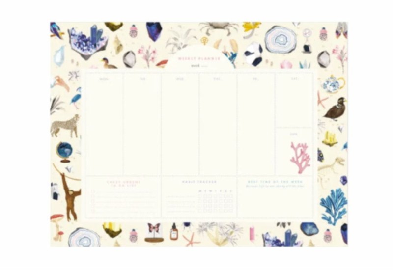 All The Ways To Say Planner Tygodniowy Curiosity