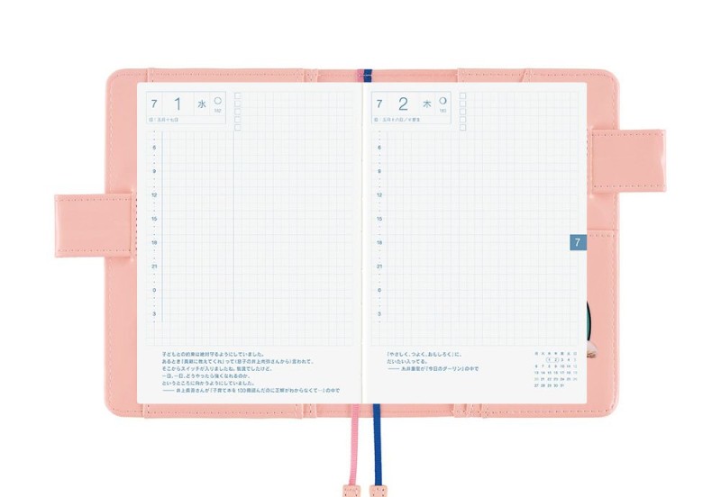 Hobonichi Techo Original A6 Cover: Candy Stripper: Random Dog & Cat (Pink)
