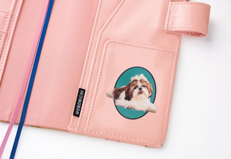 Hobonichi Techo Original A6 Cover: Candy Stripper: Random Dog & Cat (Pink)