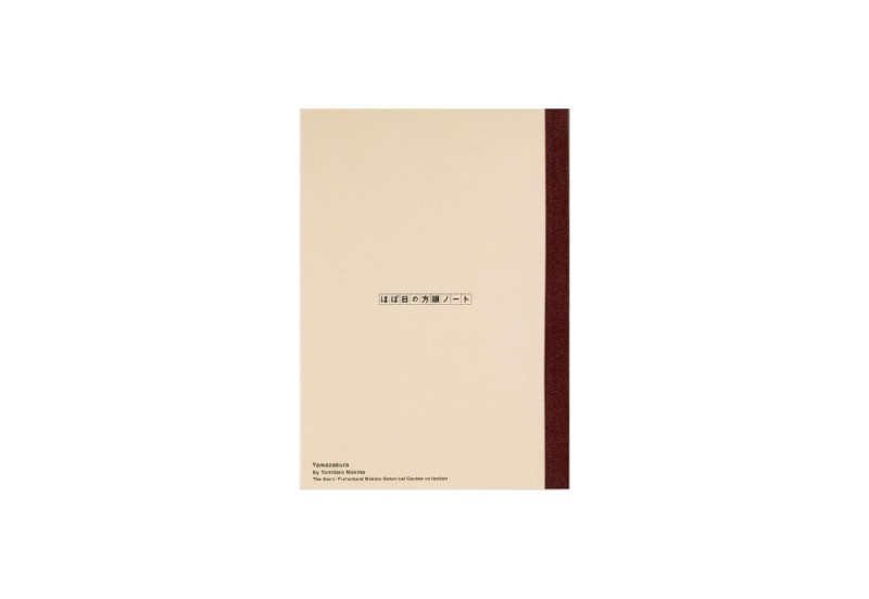 Hobonichi Techo Tomitaro Makino_ Hobonichi Graph Notebook A6 - Yamazakura - Notatnik w kratkę (2).jpg