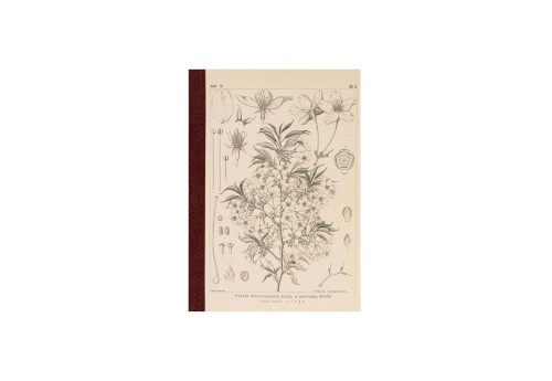 Hobonichi Techo Tomitaro Makino: Hobonichi Graph Notebook A6 - Yamazakura - Notatnik w kratkę 
