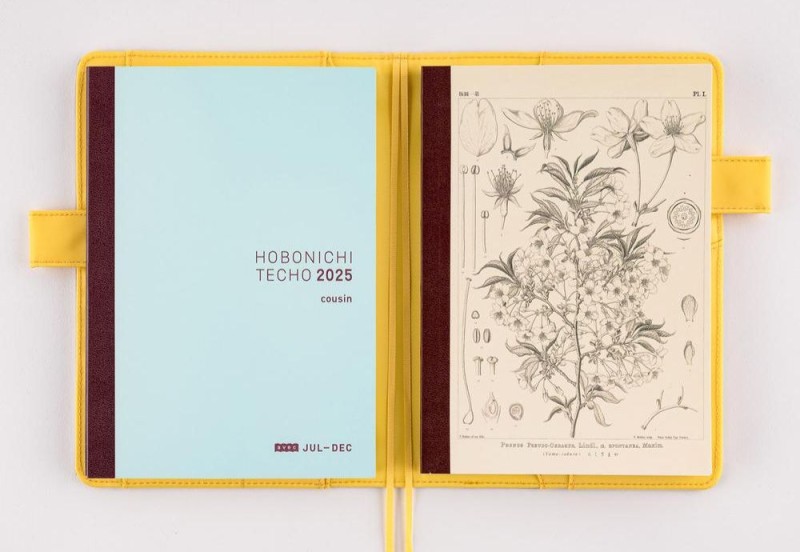 Hobonichi Techo Tomitaro Makino_ Hobonichi Graph Notebook A5 - Yamazakura - Notatnik w kratkę (3).jpg