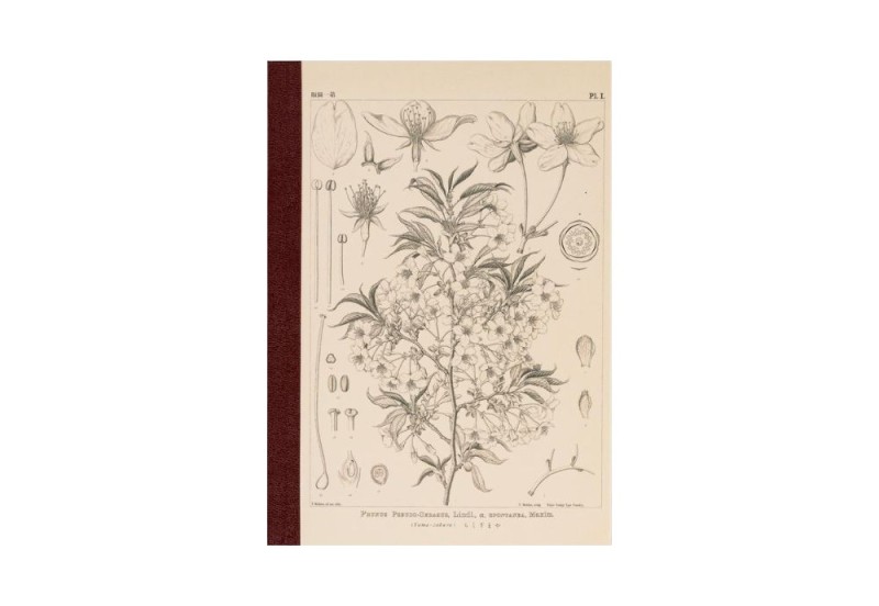 Hobonichi Techo Tomitaro Makino_ Hobonichi Graph Notebook A5 - Yamazakura - Notatnik w kratkę (6).jpg