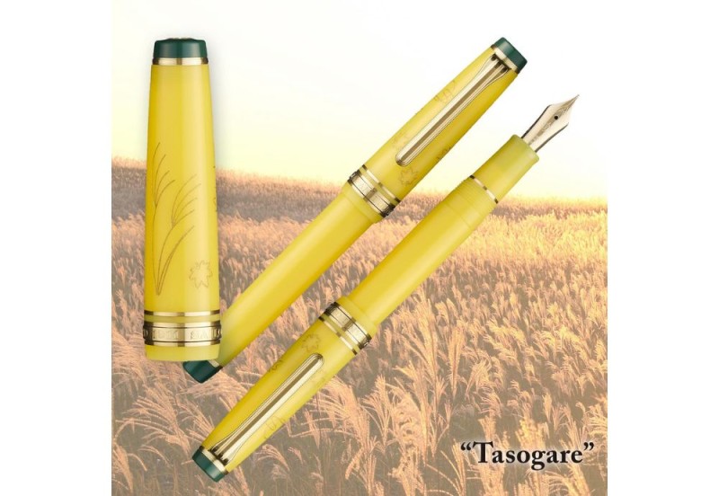 Pióro wieczne Sailor Pro Gear Japanese Scenery NOTEKA (13).jpg