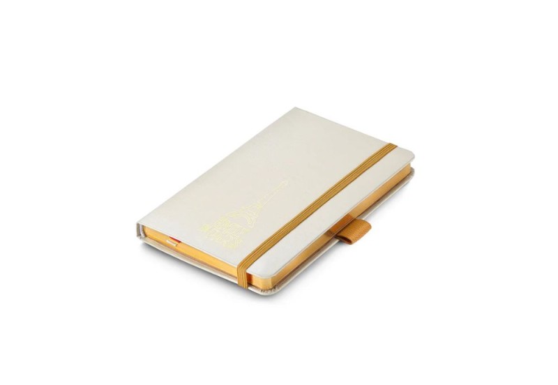Sheaffer 100 champagne gold Emily in Paris zestaw prezentowy z notesem NOTEKA (8).jpg