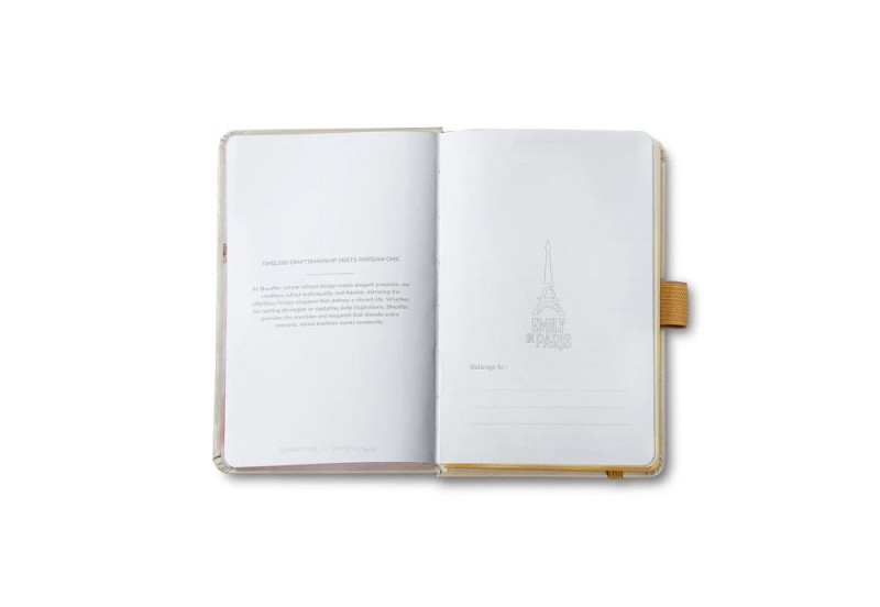 Sheaffer 100 champagne gold Emily in Paris zestaw prezentowy z notesem NOTEKA (11).jpg