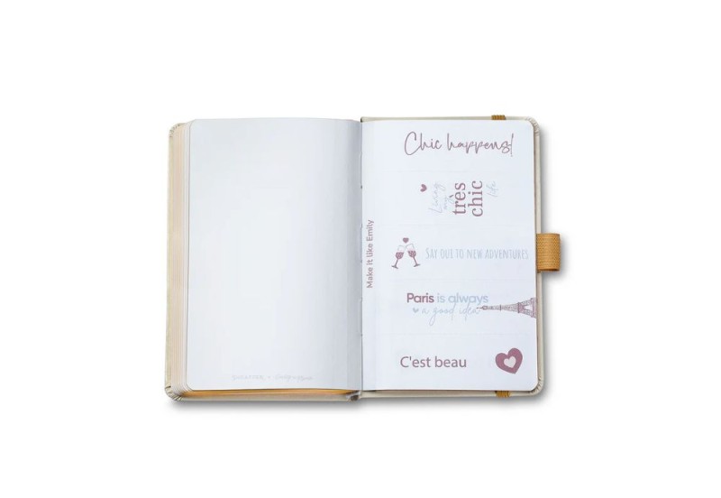 Sheaffer 100 champagne gold Emily in Paris zestaw prezentowy z notesem NOTEKA (13).jpg