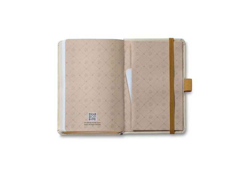Sheaffer 100 champagne gold Emily in Paris zestaw prezentowy z notesem NOTEKA (14).jpg