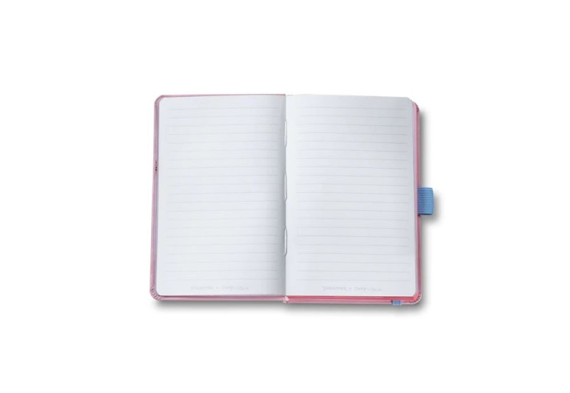 Sheaffer Sentinel Pink Emily in Paris zestaw prezentowy z notesem NOTEKA (11).jpg