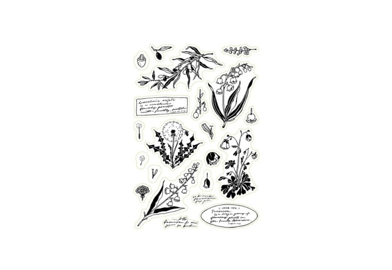 de Fleur Clear Stamp Sheet (3).jpg