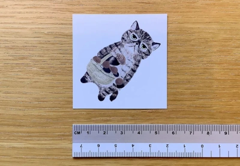 4legs mini card zestaw mini kartek w kotki NOTEKA (5).jpg