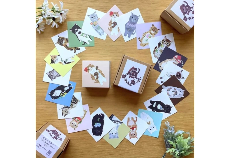 4legs mini card zestaw mini kartek w kotki NOTEKA.jpg