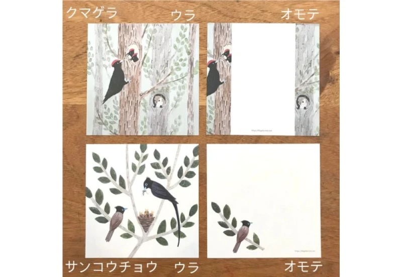 4legs letter paper wild birds NOTEKA (3).jpg