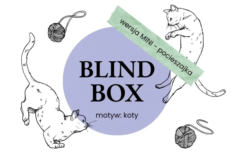 Blind Box Koty Mini.jpg