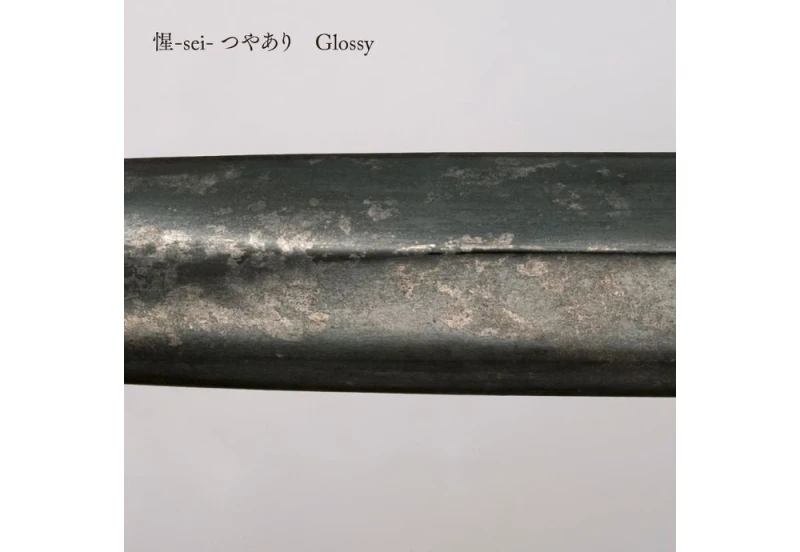 Sailor Pióro wieczne Nawate Kuroginhaku Sei (Glossy Finish) 21k - edycja specjalna 423.jpg